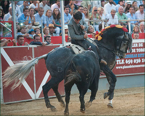 Arrollador en Sotogrande