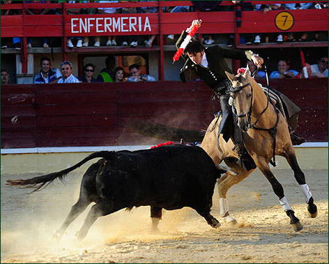 Sigue su ritmo: tres orejas en Medina del Campo