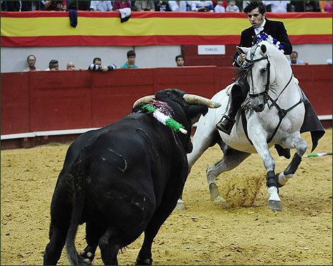 Cuatro orejas y rabo en Navalmoral