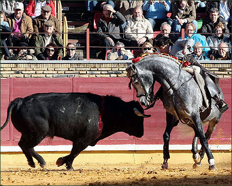Máximo triunfador de festival contra el cáncer de Córdoba
