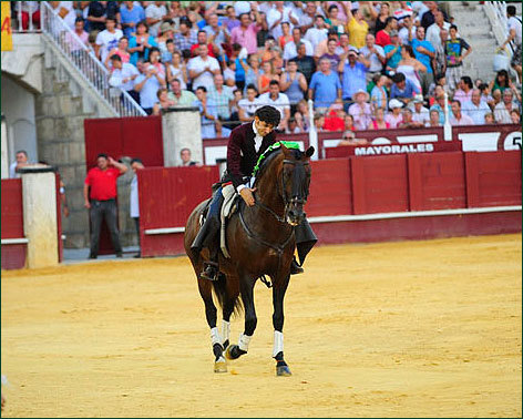 Muere ‘Califa’, el mejor caballo de último tercio