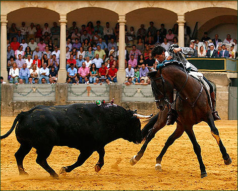Rey de la Goyesca de rejones