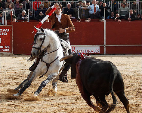 Diego Ventura, a gran altura con sus caballos nuevos en el festival de Candeleda