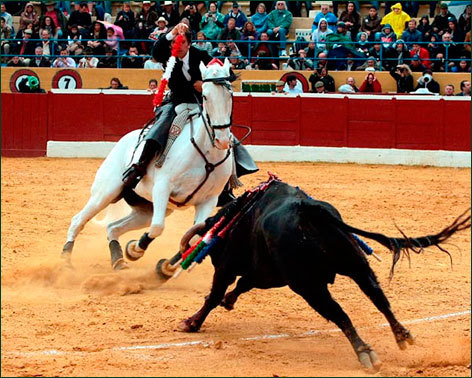 Diego Ventura corta una oreja en el festival de Marbella