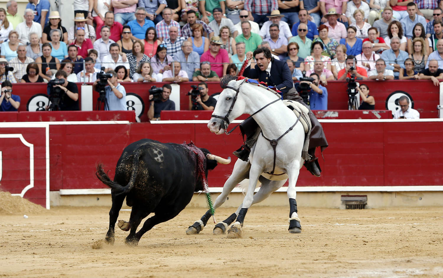 El hombre propone y el toro lo descompone