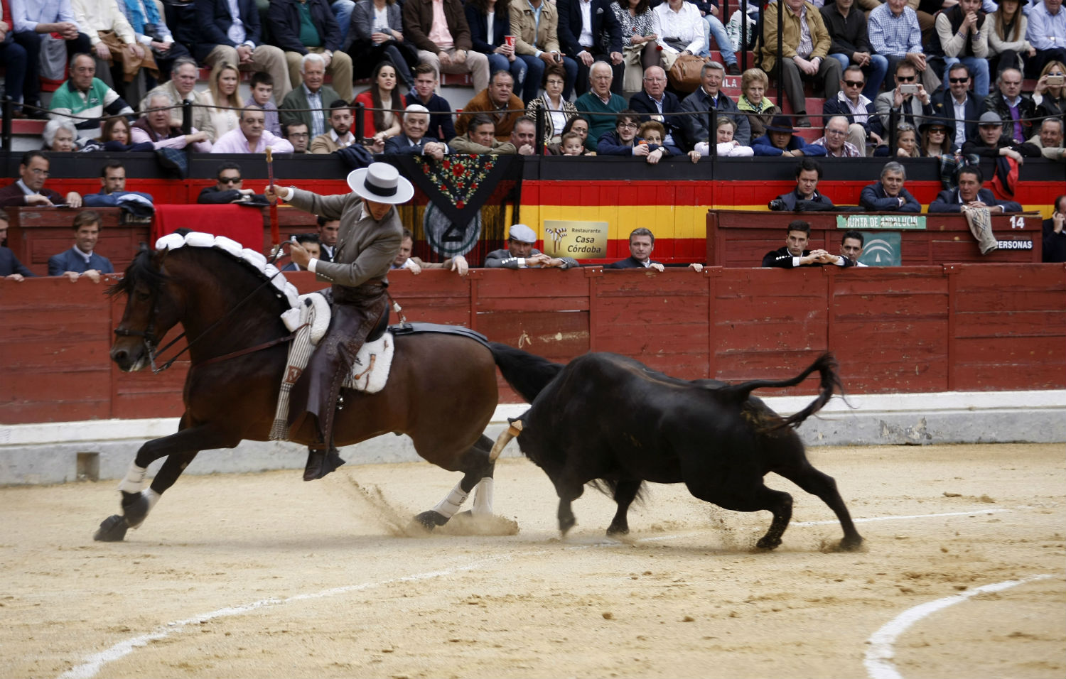 El rejón se lleva el premio merecido