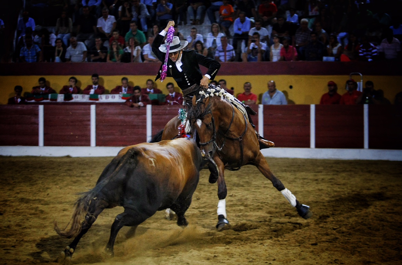 Noche luminosa de toreo de Ventura en Beja