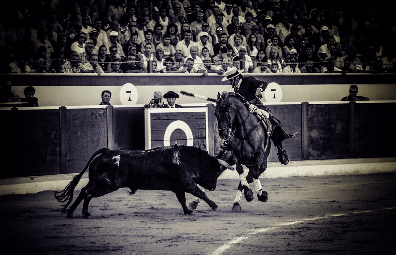 Triunfo grande de Ventura en Berja