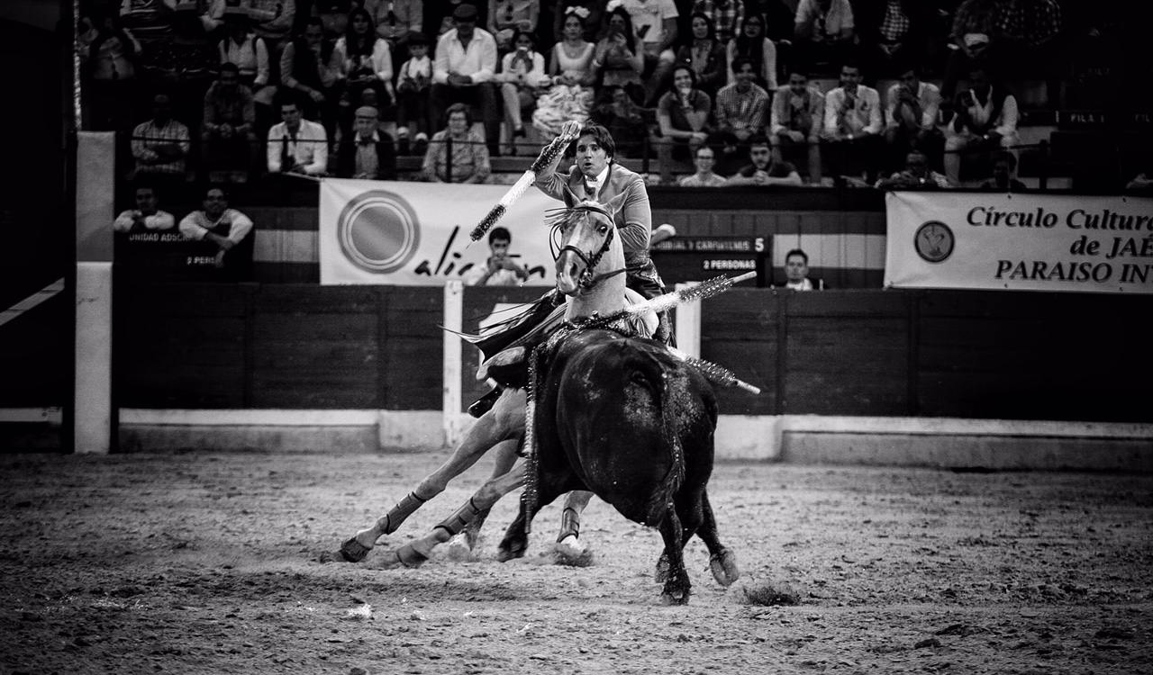 El broche de oro a un año de ensueño, otro más…