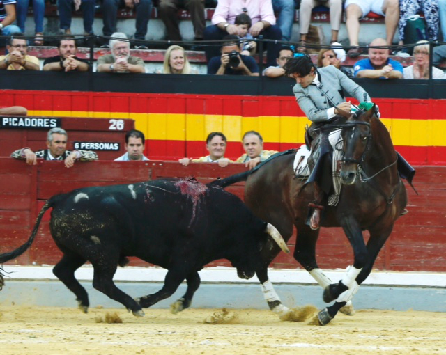 Broche de oro a un año inolvidable