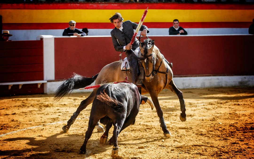 El acero se lleva el premio