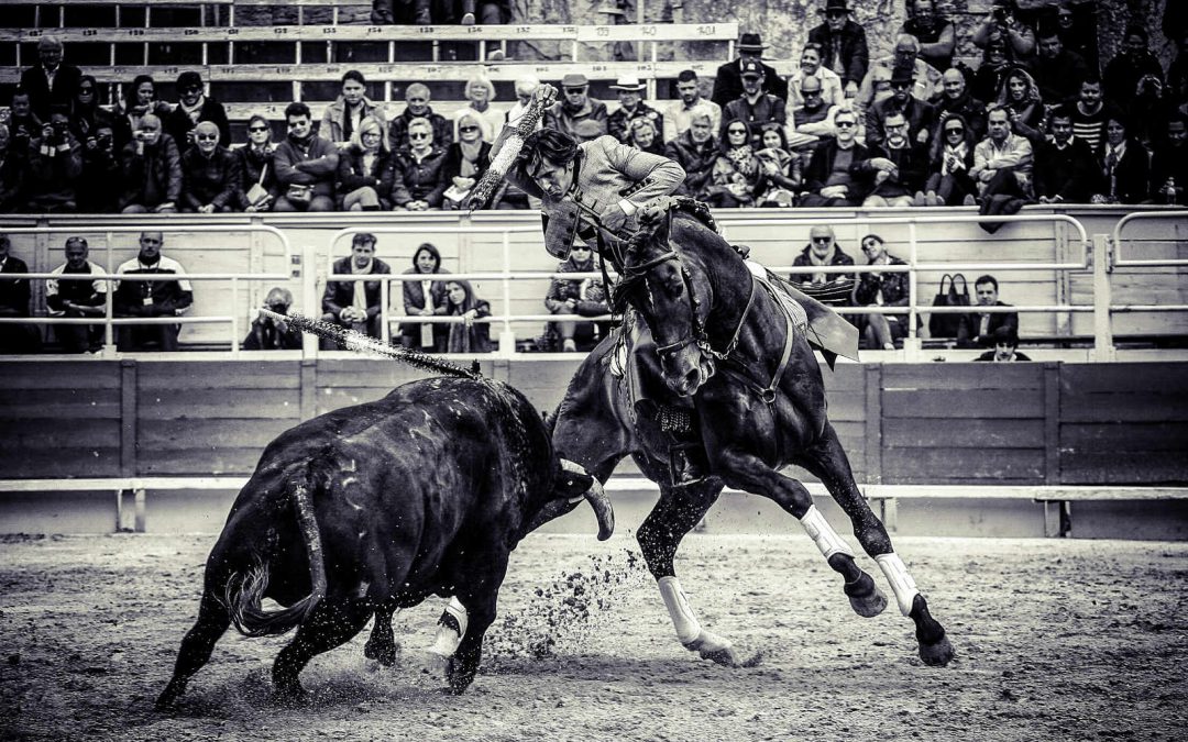 Diego Ventura, emperador en Arles