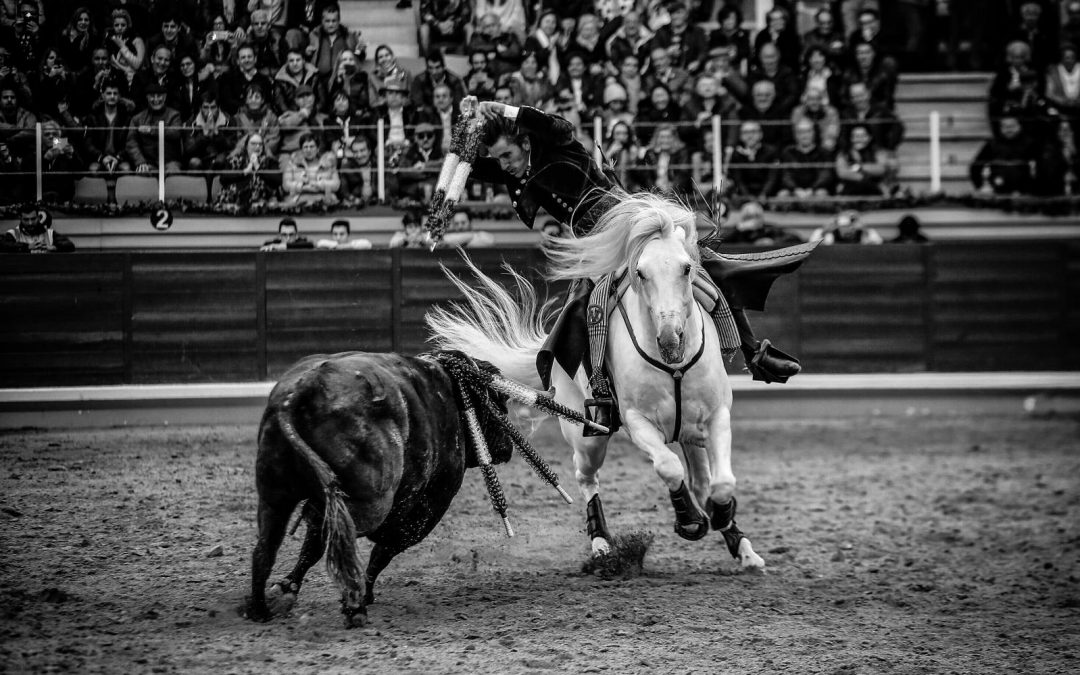 Esa bendita locura que emana de la genialidad