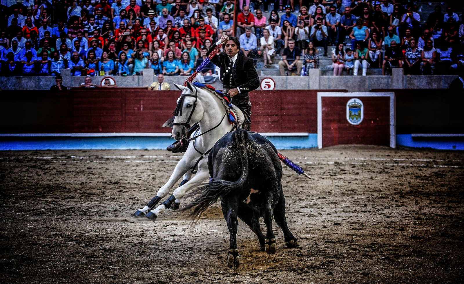 Portada Pontevedra