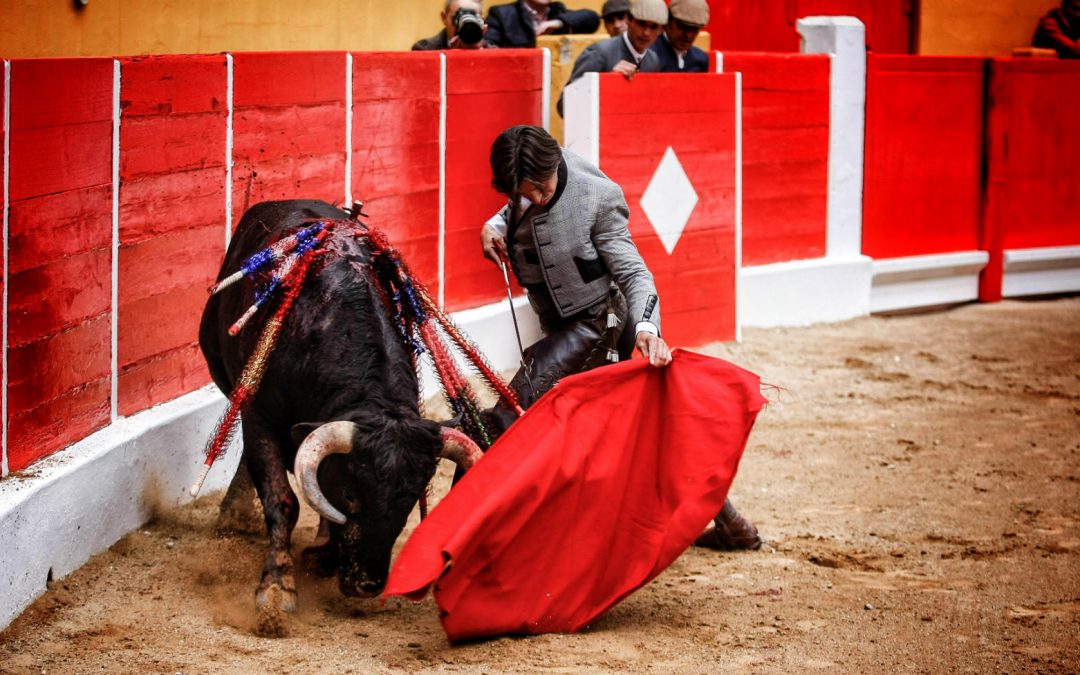 Dos orejas a la capacidad y a la torería