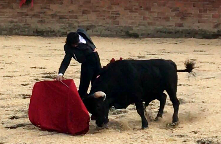 Ventura triunfa toreando a pie en México