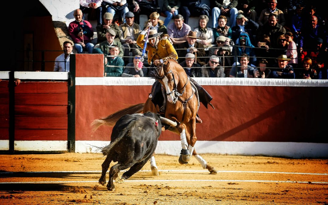 Oreja para Ventura en el festival de Cantillana