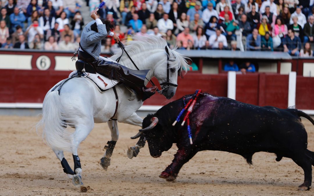 Mejor Rejoneador de San Isidro 2018