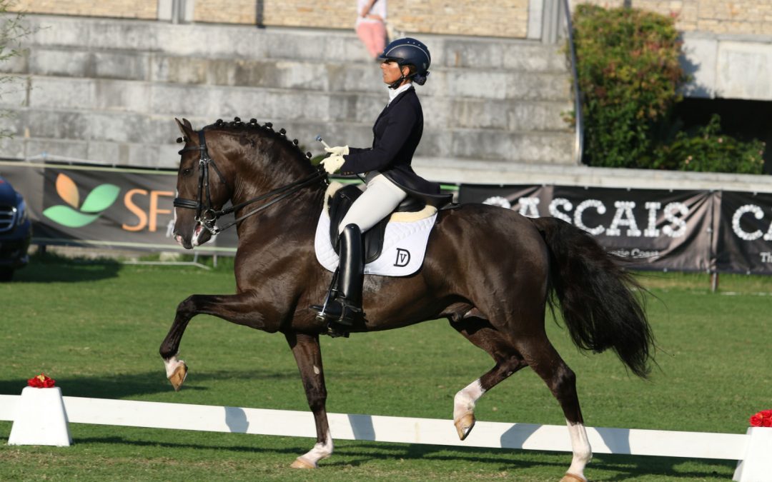 Chalana triunfa en el Festival del Caballo Lusitano de Cascais