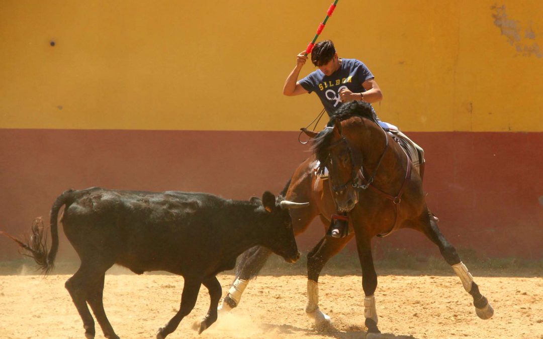 Puesta a punto en Los Espartales