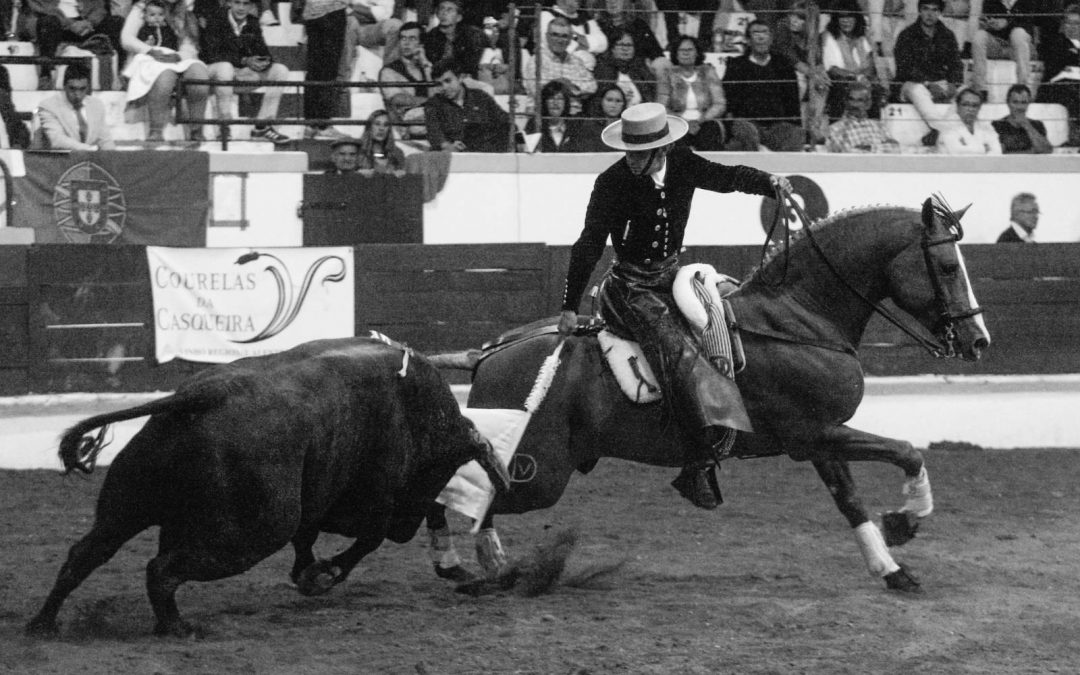 Y de la chistera salió Gitano…