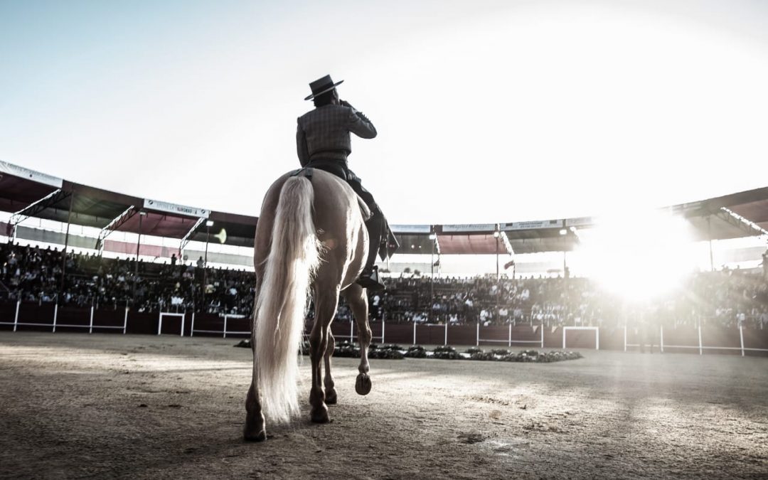 Diego Ventura, el torero que siempre llena