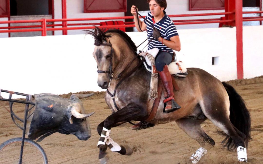 Diego Ventura exhibe su cuadra en Tijuana