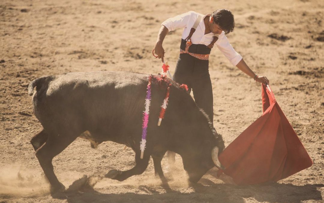 Diego Ventura se despide del campo bravo mexicano