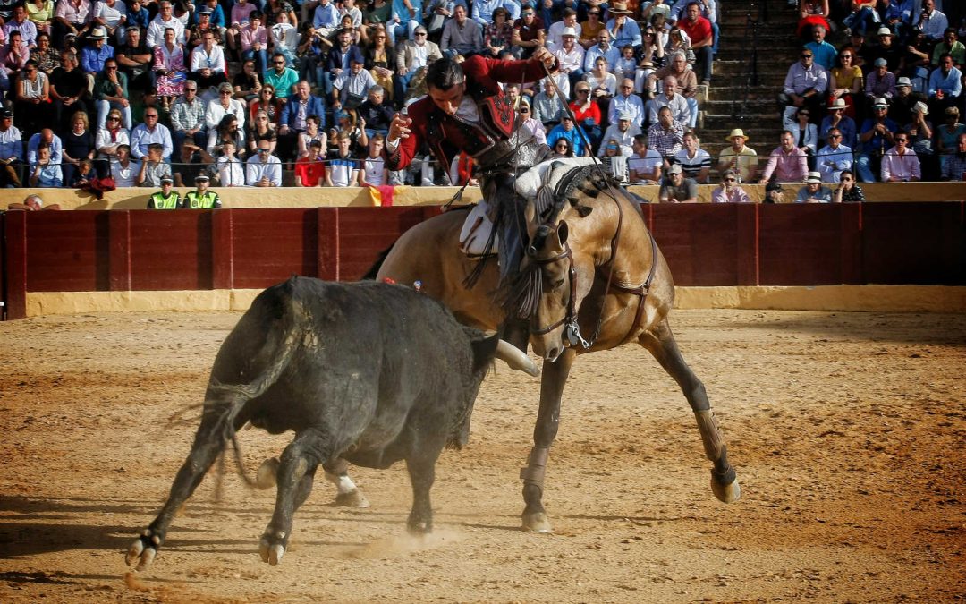 El dueño del trono