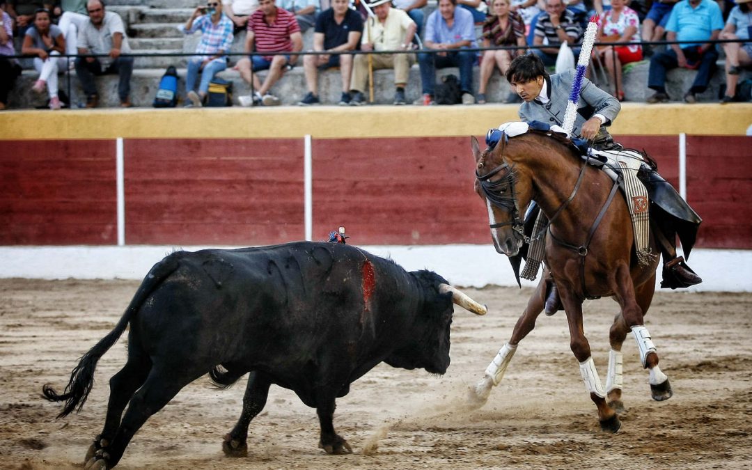 Frascuelo se reivindica como la nueva ilusión