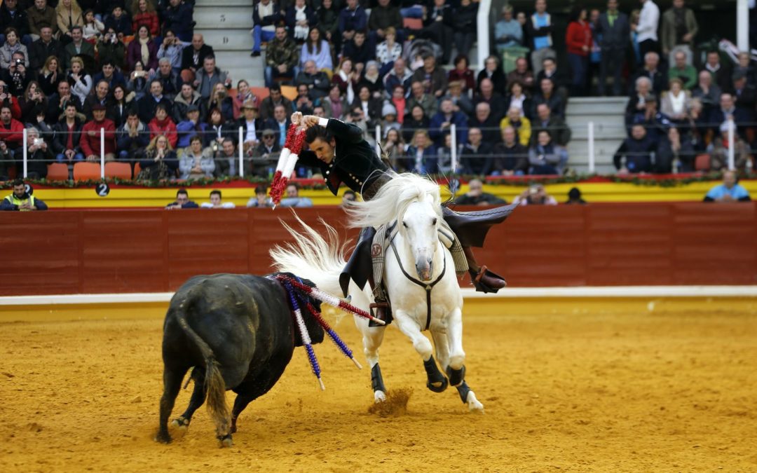Muere Dólar, uno de los caballos estrellas de Diego Ventura