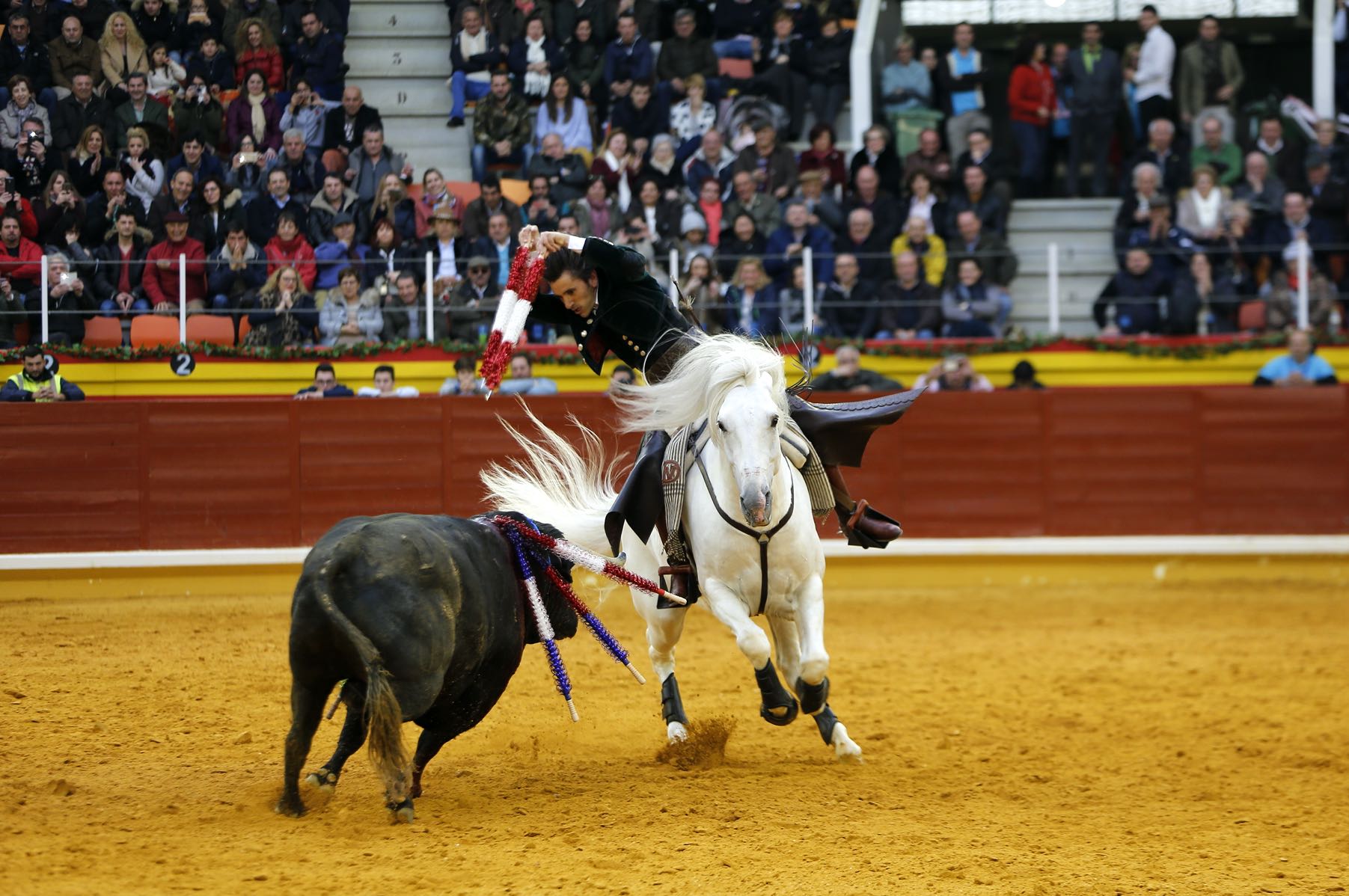 Muere Dólar, uno de los caballos estrellas de Diego ...