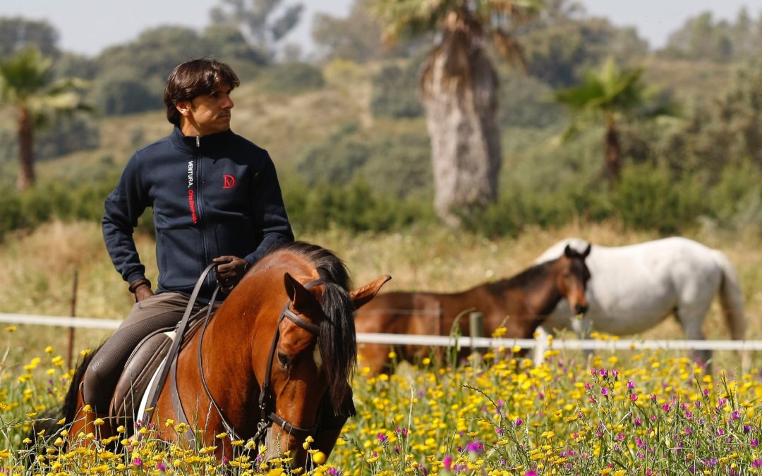 “Trabajo con varios caballos nuevos que van a sorprender”