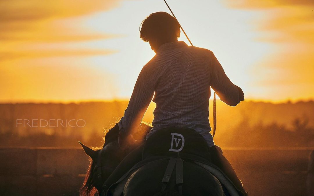 “En Ávila se verá una corrida de mucha verdad”