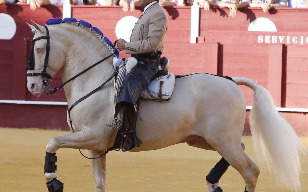 Diego Ventura pierde a su caballo Remate