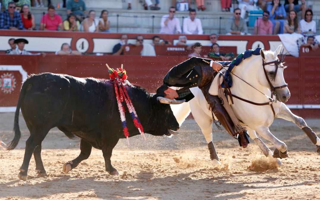 Dueño y señor