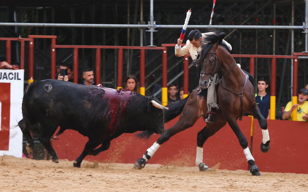 Autoridad