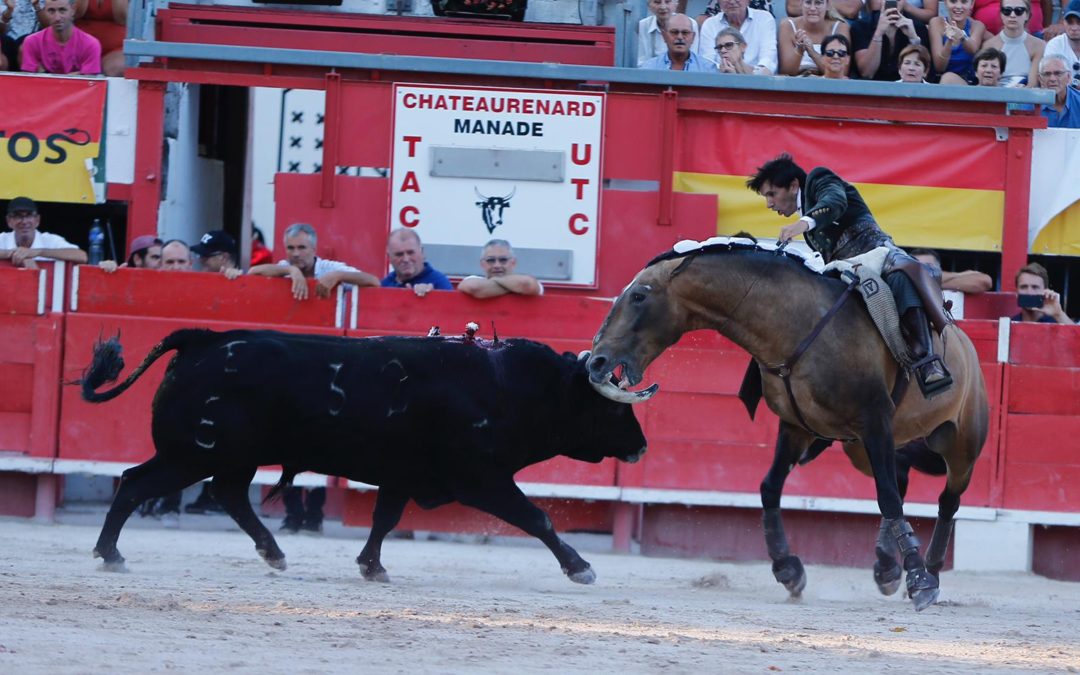 Aceros destemplados