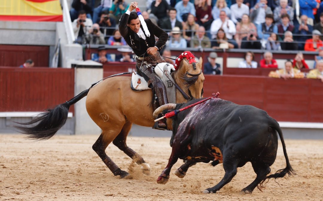 La emoción de cuajar un toro en Madrid