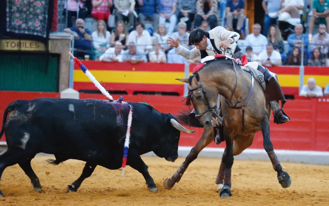 Nueva exhibición en Granada