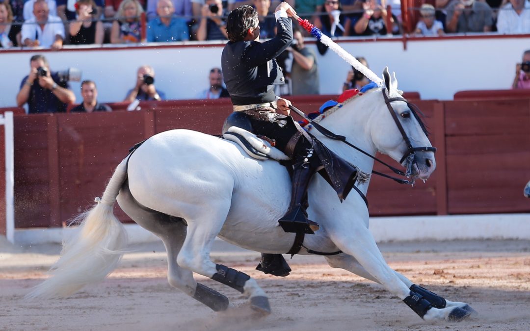 La espada juega una mala pasada