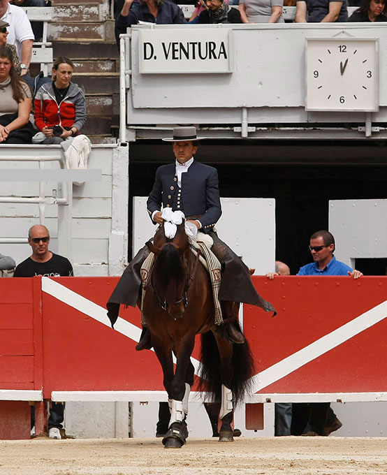 Ventura pierde la puerta grande en Arles por el acero