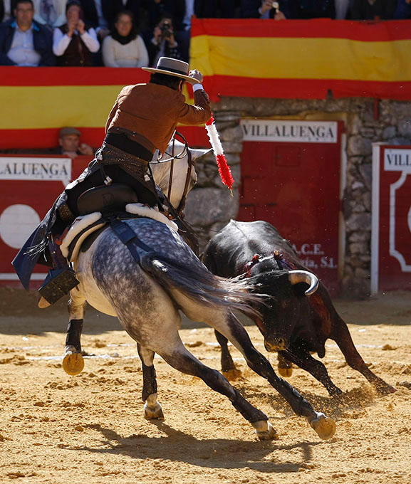 Ventura, arrollador, corta cuatro orejas y rabo en Villaluenga